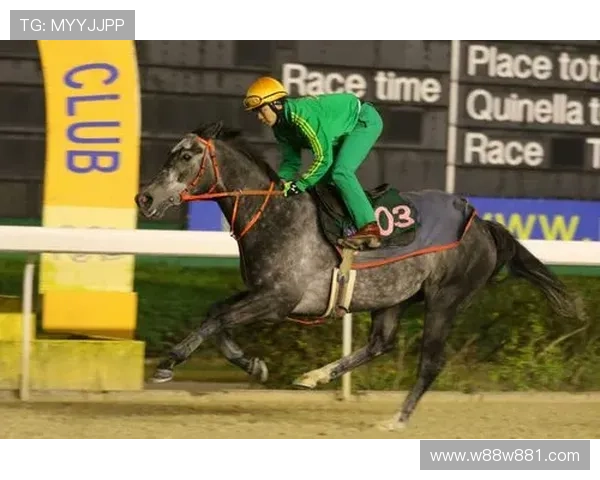 澳门赛马赛事精彩实况电视直播全程放送